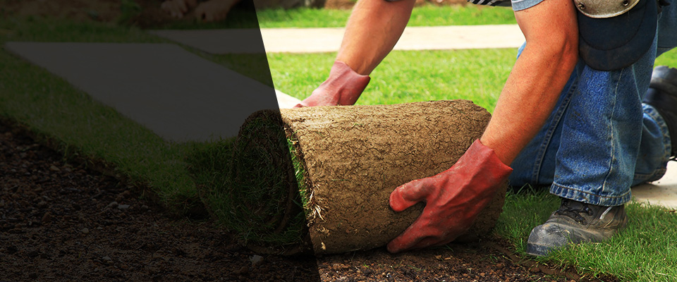 Millersburg Landscapers